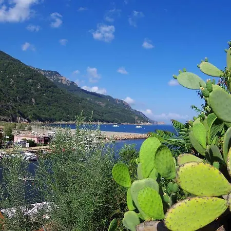 Le Mediterranee